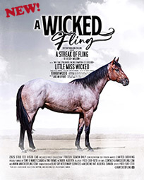 A Wicked Fling